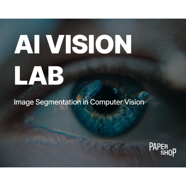 AI VISION LAB