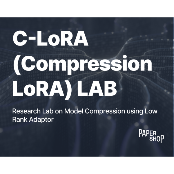 C-LoRA (Compression LoRA) LAB